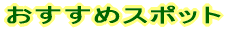 �������߃X�|�b�g 